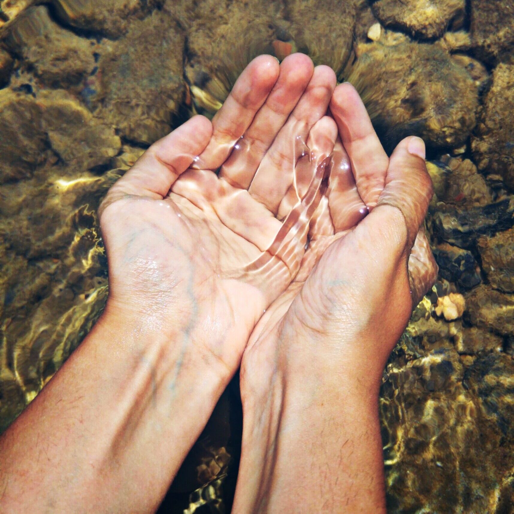 Sustentabilidade